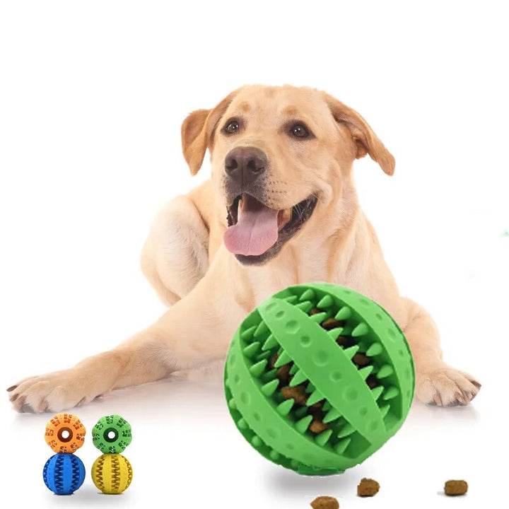 Puppy Teething and Cleaning Chew Toy Balls
